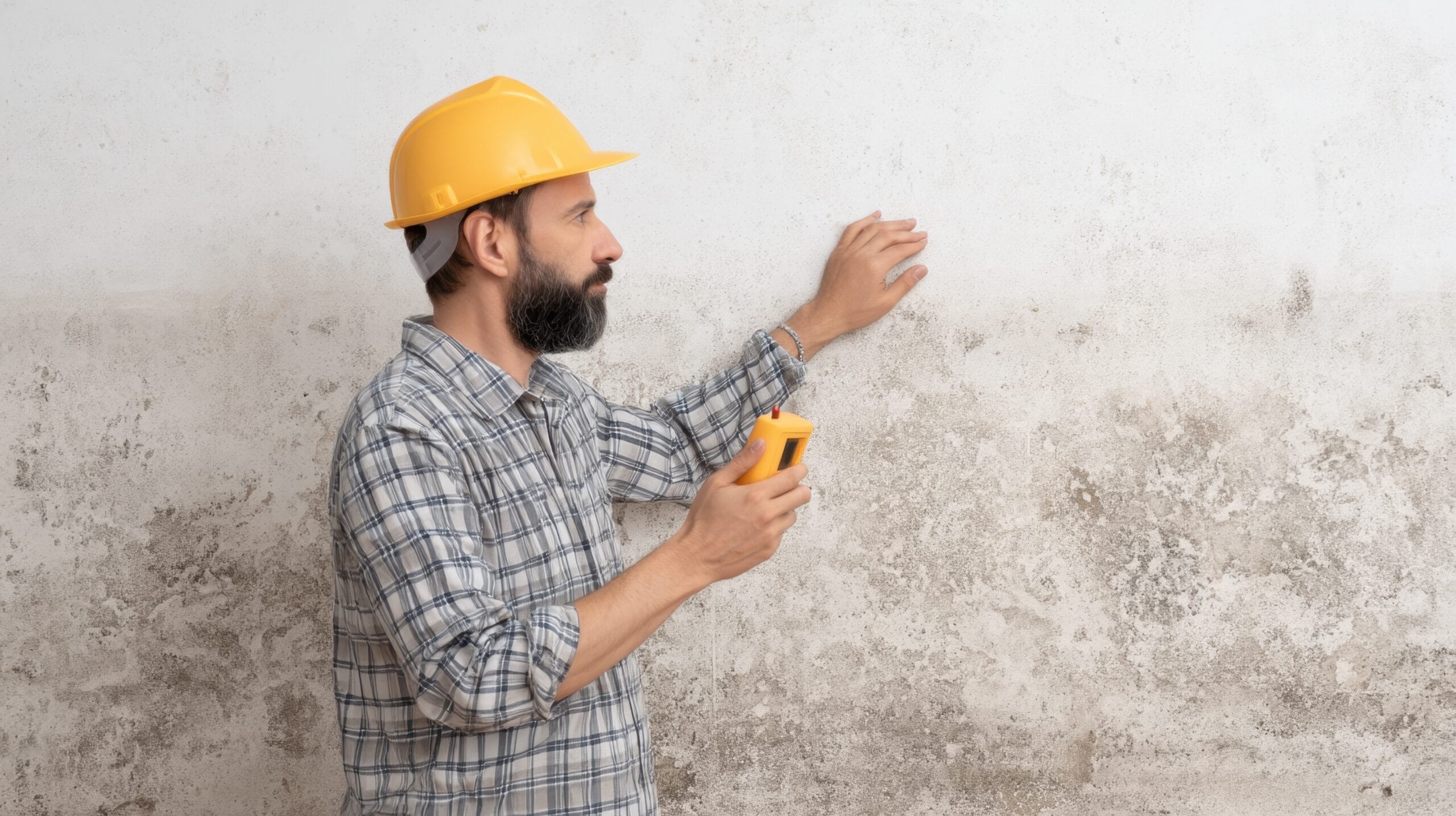professional-inspecting-wall-moisture-levels-with-handheld-device-in-home-setting-for-environmental-and-safety-assessment-stockpack-adobe-stock Professional Inspecting Wall Moisture Levels with Handheld Device in Home Setting for Environmental and Safety Assessment