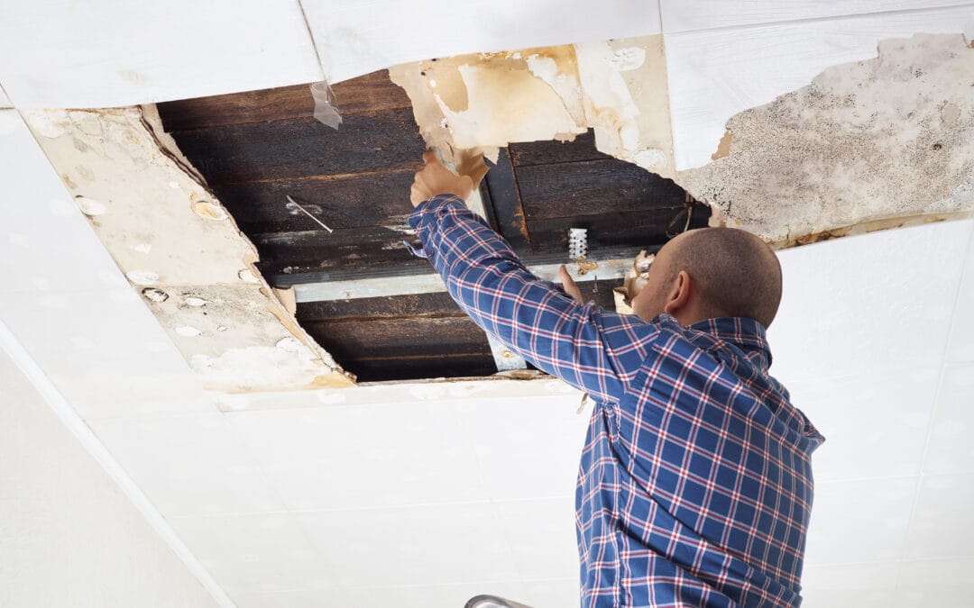 What Happens After Water Damage: A Step-by-Step Guide